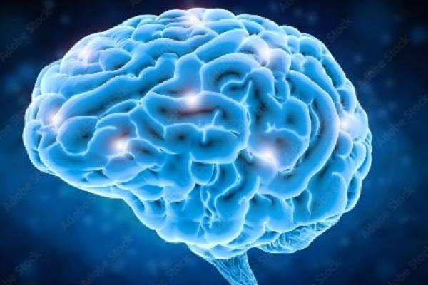 Illuminated brain shows locations with neural activity.